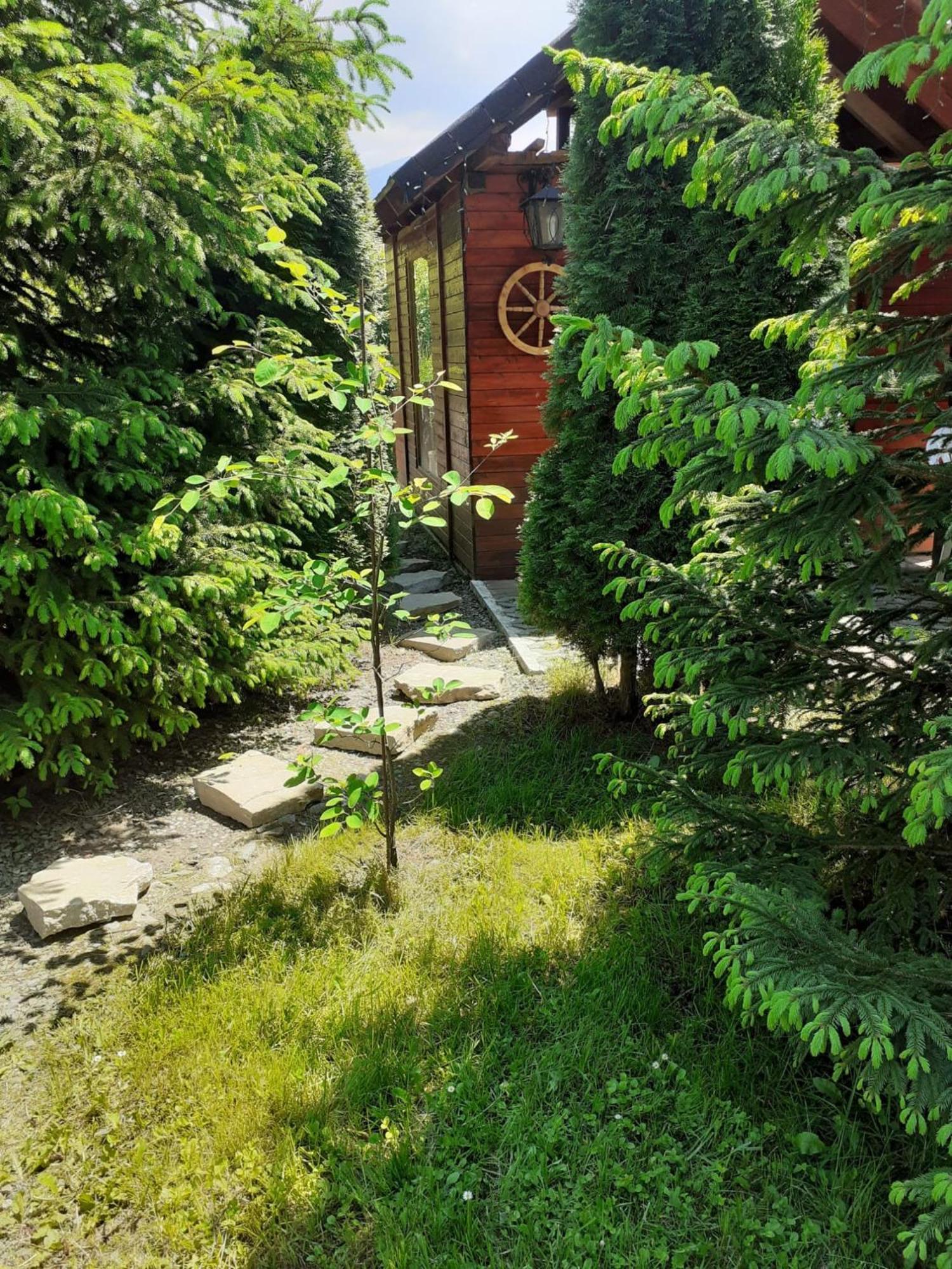 Villa Colt De Rai Bran  Esterno foto