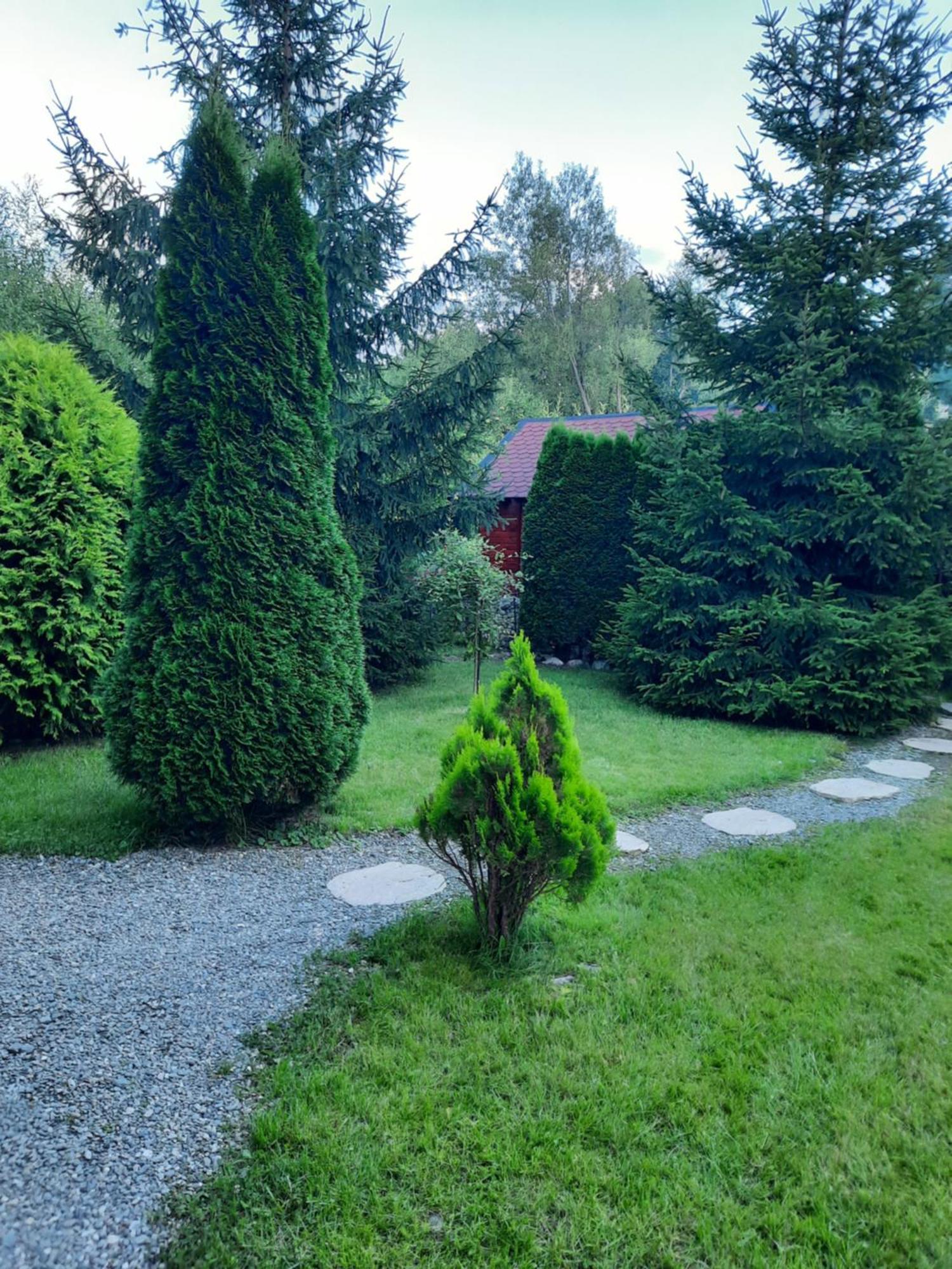 Villa Colt De Rai Bran  Esterno foto