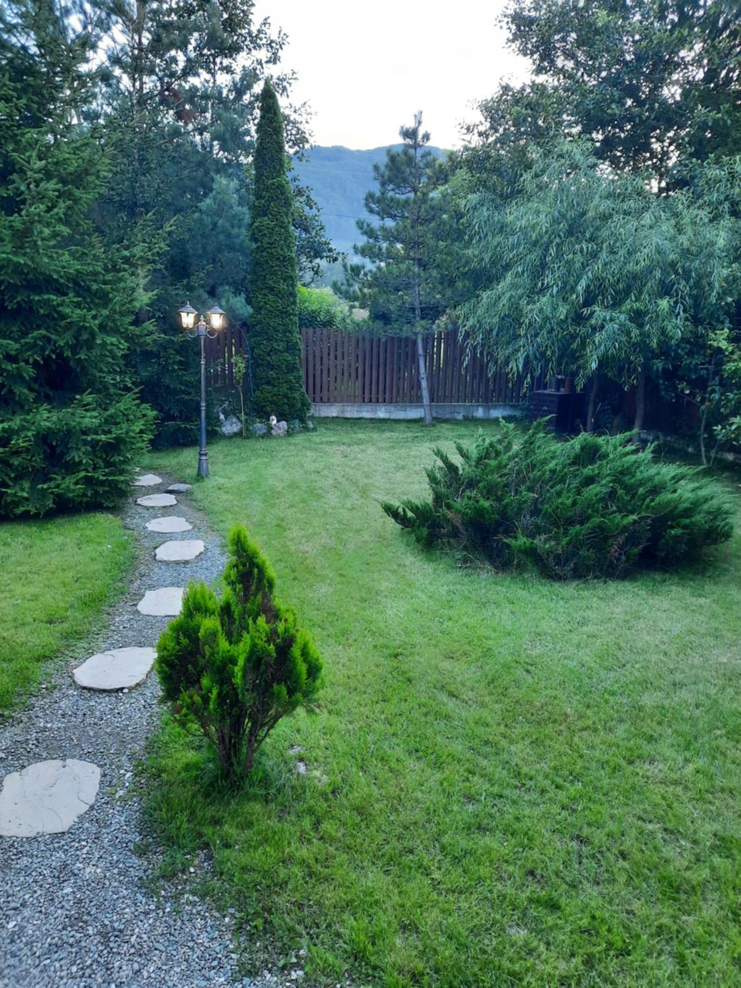 Villa Colt De Rai Bran  Esterno foto
