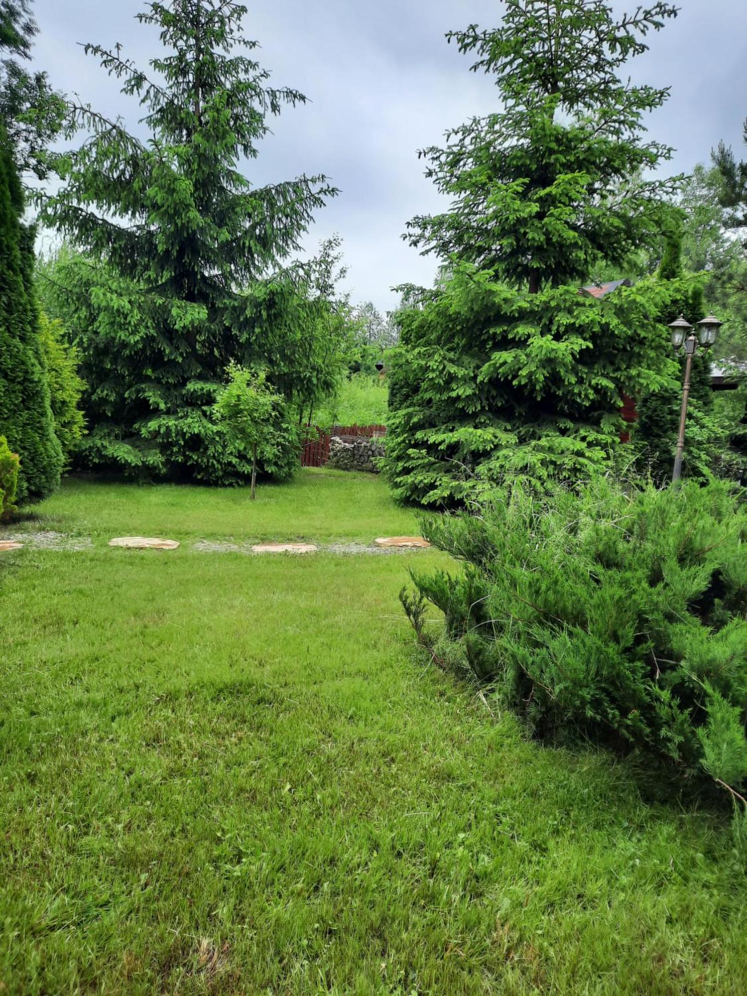 Villa Colt De Rai Bran  Esterno foto