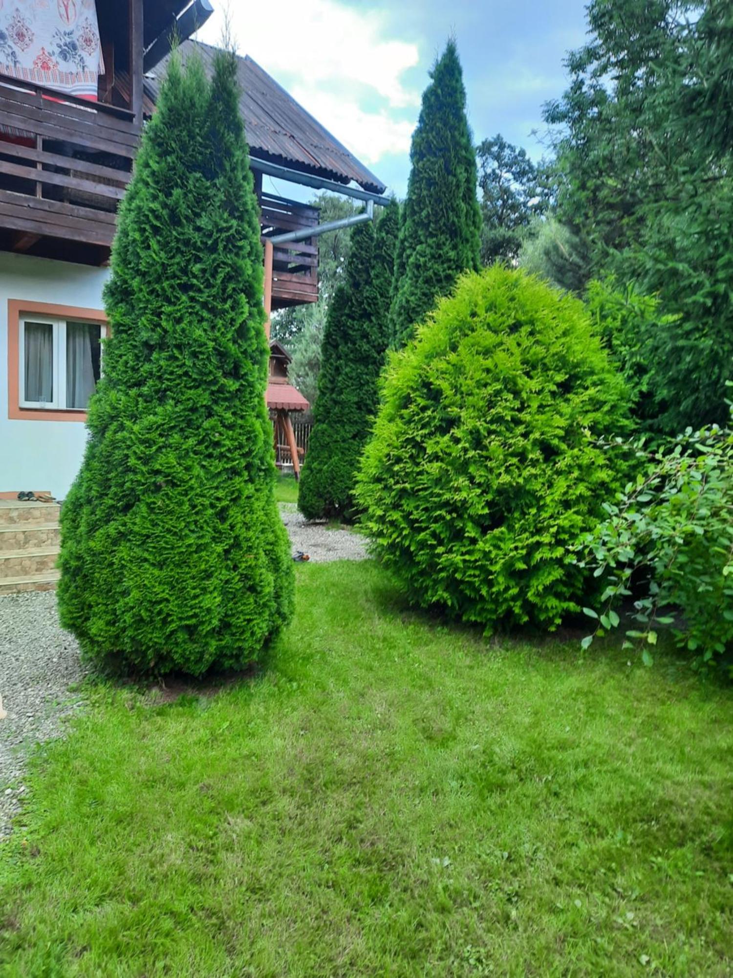 Villa Colt De Rai Bran  Esterno foto