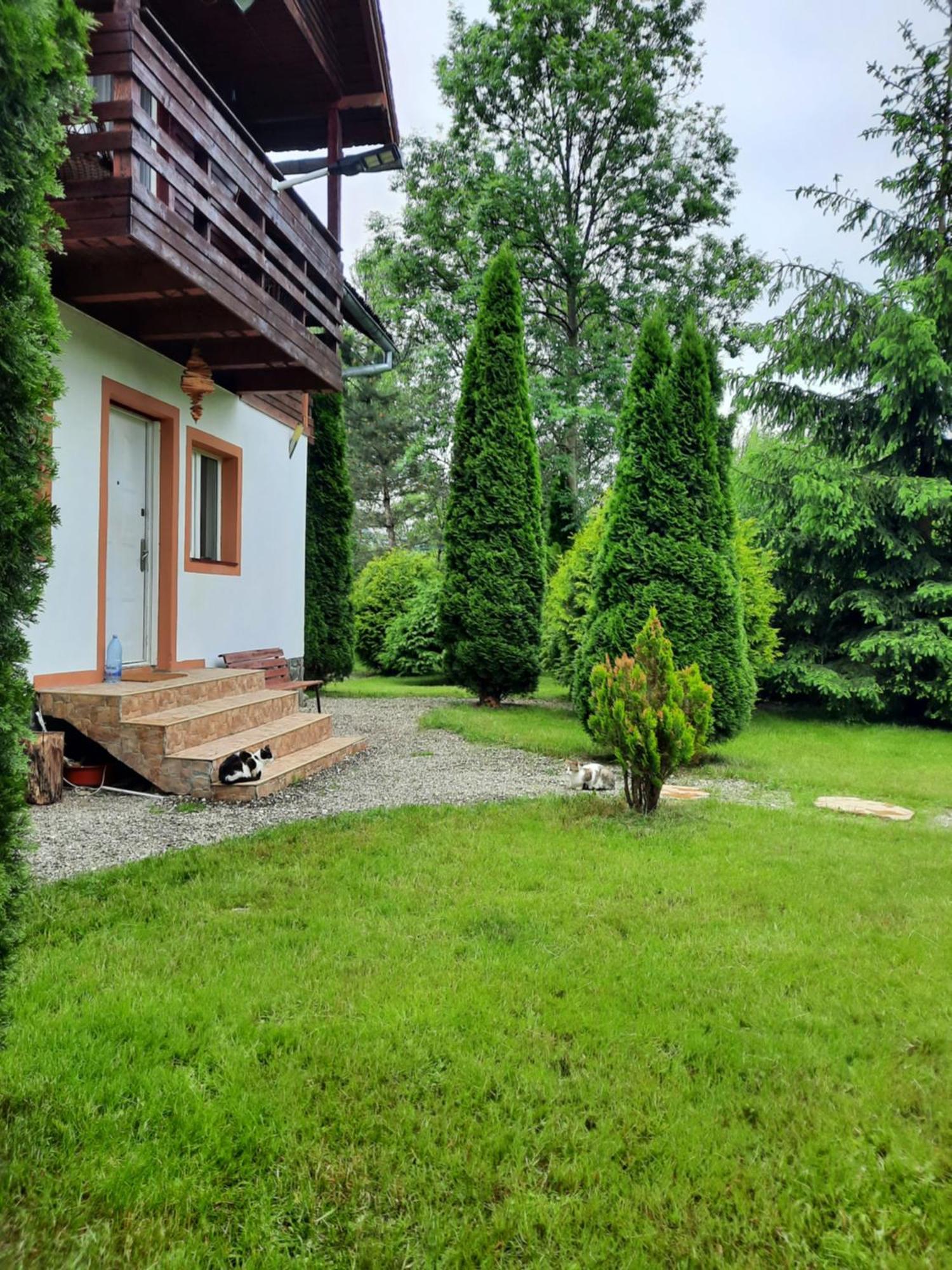 Villa Colt De Rai Bran  Esterno foto