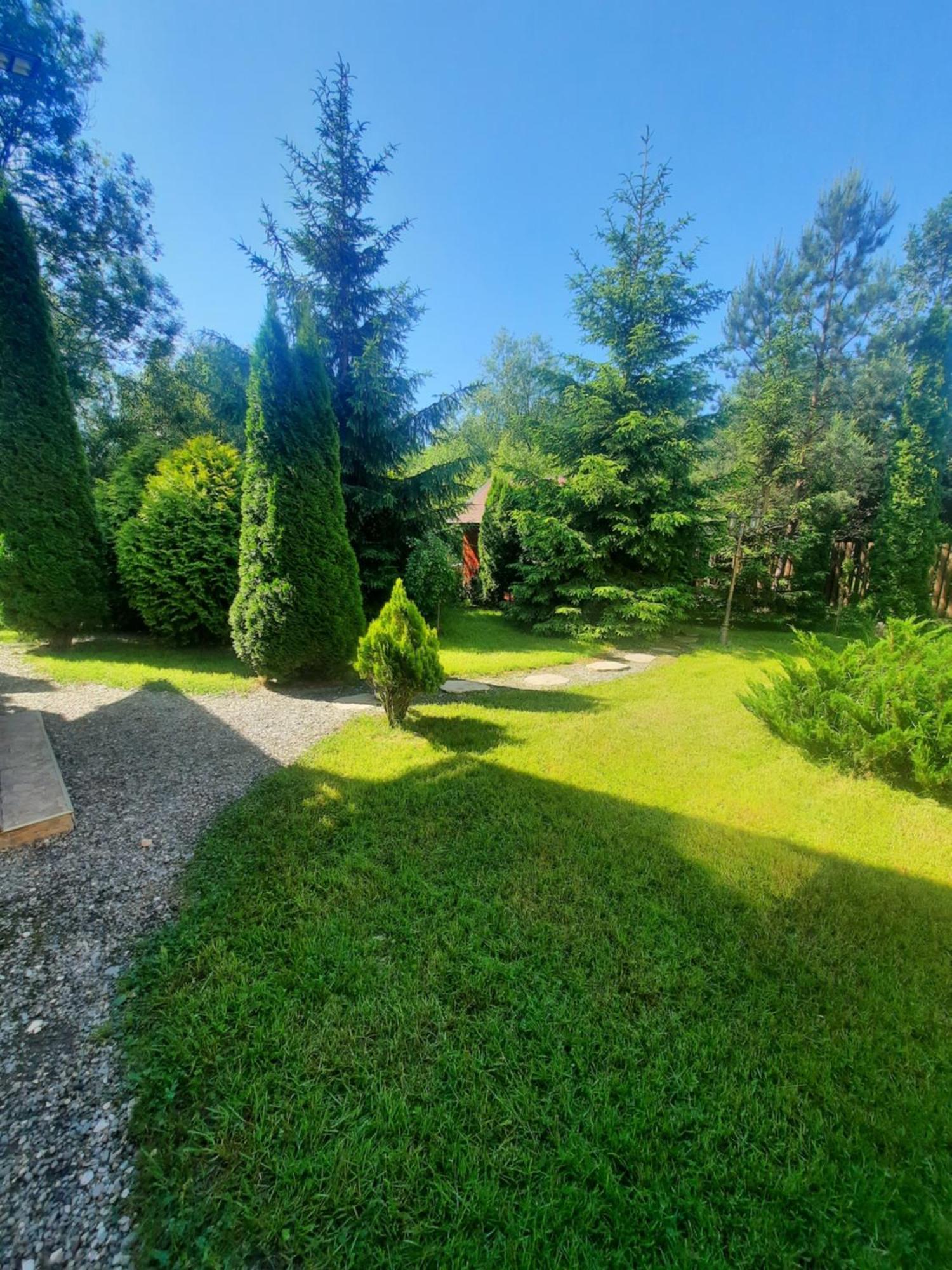 Villa Colt De Rai Bran  Esterno foto