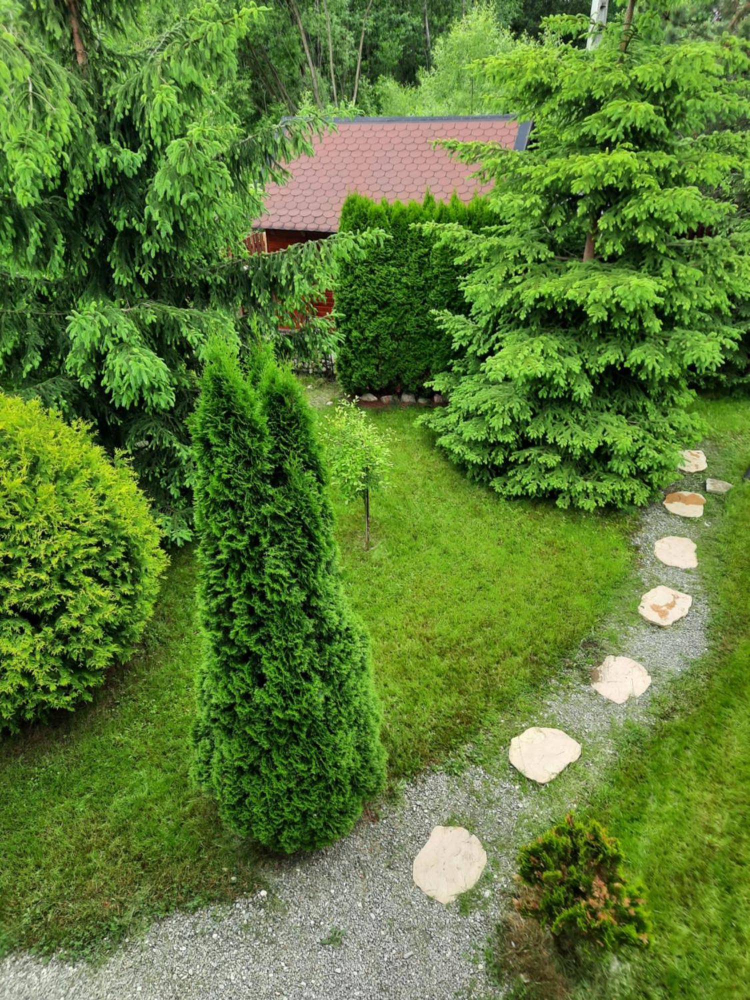 Villa Colt De Rai Bran  Esterno foto